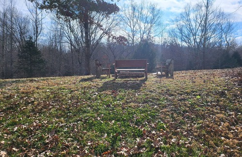 Cadiz Cabin | Quiet and cozy cabin with full kitchen and two bedrooms adjoining Lake Barkley.