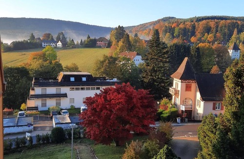 Le Hohwald Villa | Quiet, bright 3* studio in Hohwald, hiking and mountain-biking country