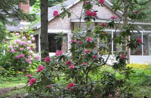 Hancock Point Cottage | Quiet cottage in the woods with private access to beach, shore views of Acadia.