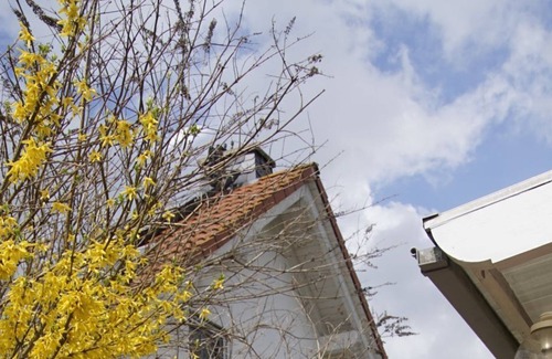 Willersdorf Apartment | quiet flat for a couple or little family with beautiful views