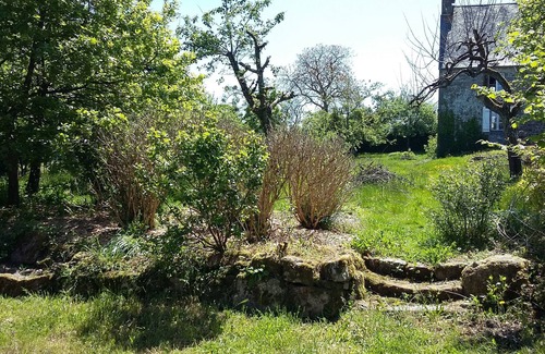 Vire-Normandie Bed & Breakfast | Quiet in the countryside