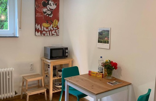 Gundelfingen Apartment | Quiet non-smoking vacation apartment with beautiful garden in Freiburg-Gundelfingen