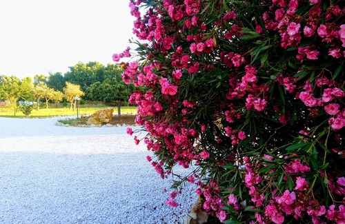 Alghero House | Quinta Esencia - Suite Aria