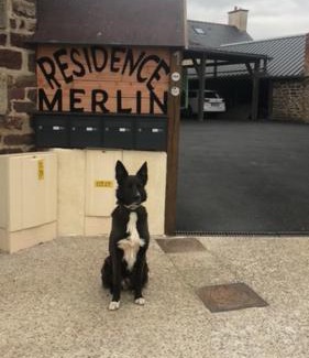 Saint-Malon-sur-Mel Apartment | Résidence Merlin Appart des Druides