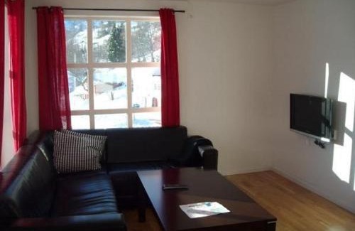 Roldal Apartment | Røldal Overnatting