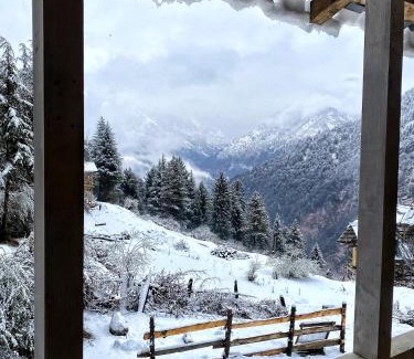 Shangarh House | RAFA Shangarh