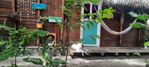 Mompiche House | Raices Mompiche