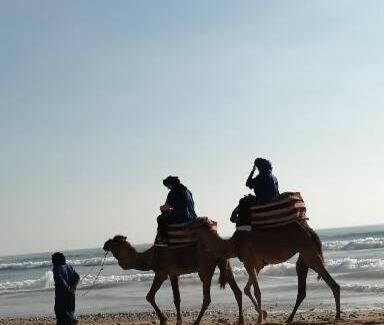 Tamraght Other | Ranch berber nomade
