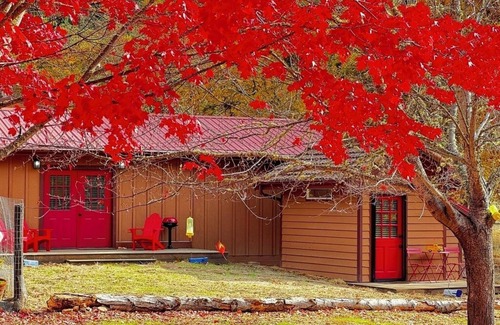 Murphy Cabin | Ranch Cabin and Tiny Home Hidden Meadows Estate