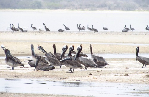 La Guajira Cottage | Rancherías Indigenas Wayuu - Reserva Nacional Natural