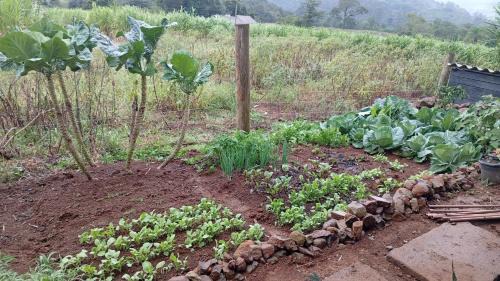 Nova Nazare Ski Chalet | Rancho do Vale