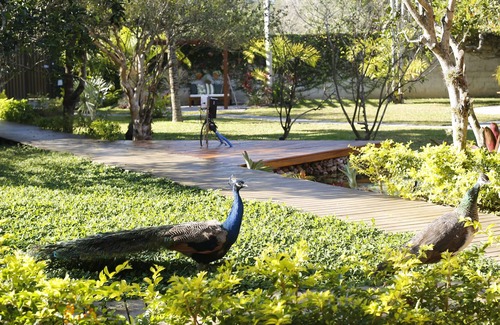 Baia Formosa Ski Chalet | Rancho Litoral Búzios (Casa Pedro)