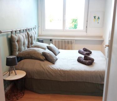 Colmar Centre Ville Apartment | Rare à Colmar - Appartement Champ de Mars vue sur Parc - 70m2 - 2 chambres