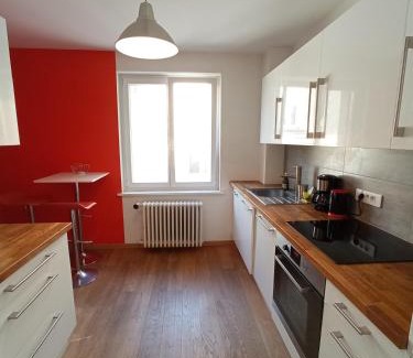 Colmar Centre Ville Apartment | Rare à Colmar - Appartement Champ de Mars vue sur Parc - 70m2 - 2 chambres