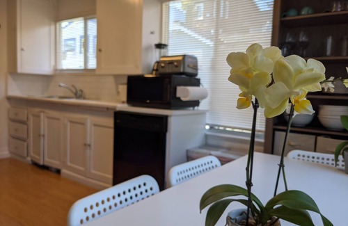 Capitola House | Rare 3 br in Capitola Village with 5pm checkout Jan-Apr+Parking!