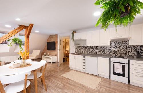 Jihlava Apartment | RASL Residens