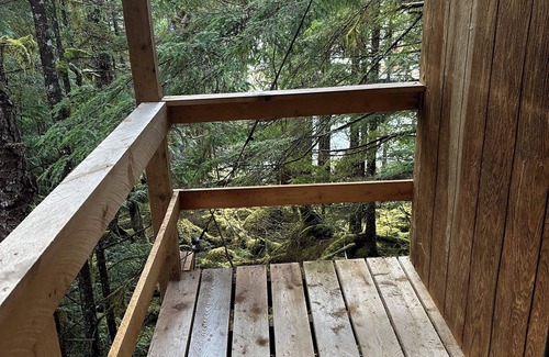 Thorne Bay Cabin | Raven's Nest Treehouse