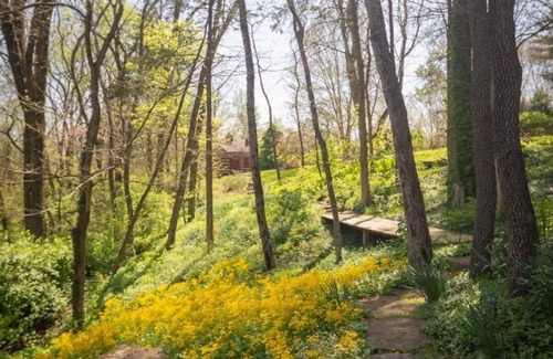 Washington Cabin | Raven's View Retreat - 1830s Cabin Overlooking Missouri River - 5 bed/3.5 bath