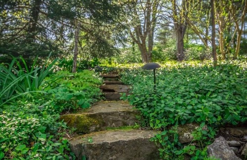 Washington Cabin | Raven's View Retreat - 1830s Cabin Overlooking Missouri River - 5 bed/3.5 bath