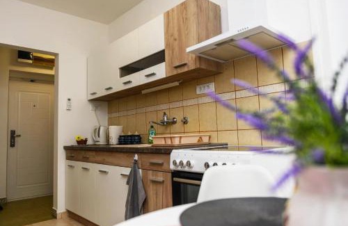 Palic Apartment | Ravena