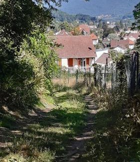 Guebwiller Apartment | Ravissant studio dans un cadre agréable