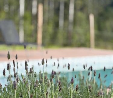 Divino de Sao Lourenco House | Recanto da C’Alma