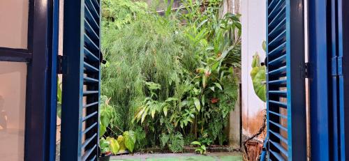 Ibicui Bed & Breakfast | Recanto das tartarugas