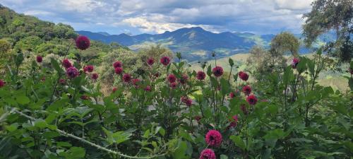 Aiuruoca Ski Chalet | Recanto do Leão