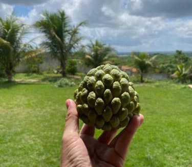 Monte Alegre House | Recanto do Sossego