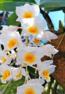 Parque Oasis House | Recanto Dumar