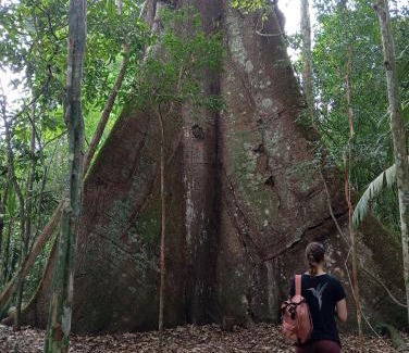 Nova Nazare House | Redário Pô do Sol