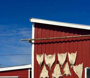 Laukvik House | Red Cottage By The Sea In Laukvika