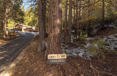 Sugar Pine Cabin | Red Rock Falls Cabin Yosemite 8mi Game Room HotTub