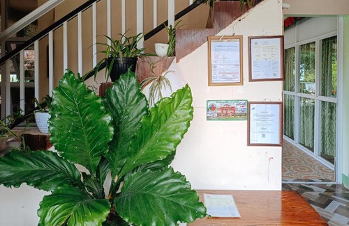 Luna Hotel | RedDoorz @ Star Jewel Lodge Apayao