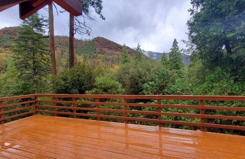 Camp Nelson Cabin | Redwood Retreat, Mountains, Adventure and Nature