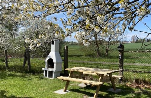 Krakvitz Apartment | Reethaus Vilmnitz Reethaus Vilmnitz - Fewo "Muglitz"