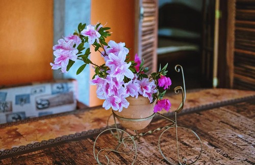 Ibiuna Villa | Refúgio da Mata Ibiúna Petfriend