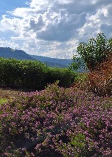 Picada Cafe House | Refúgio da Serra