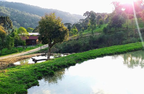 Alfredo Wagner Other | Refúgio de Ecoturismo Pedra Branca