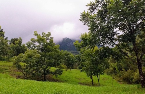 Alfredo Wagner Other | Refúgio de Ecoturismo Pedra Branca
