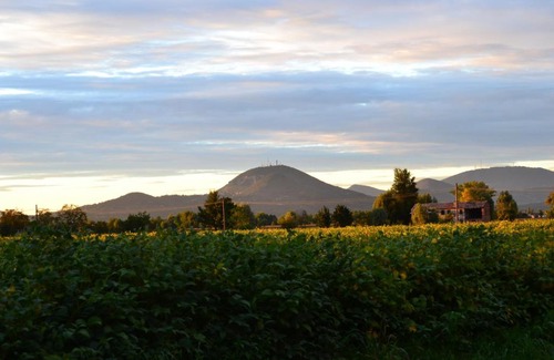 Villa Estense Bed & Breakfast | Regina Sconta