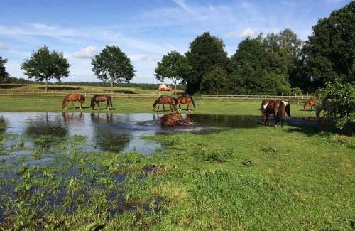 Marleben Apartment | Reit- und Bauernhof Klaucke