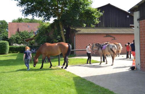 Marleben Apartment | Reit- und Bauernhof Klaucke