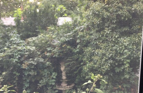 Wunsdorf Apartment | Relax and get out of the daily routine in a fantastic location