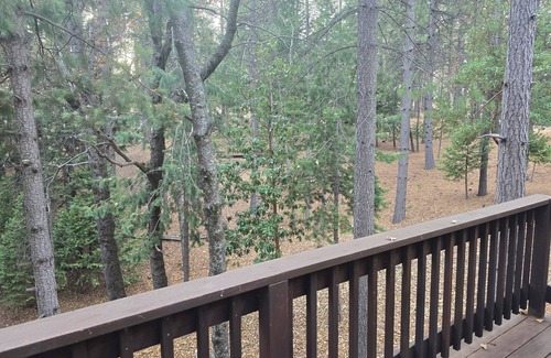 Glencoe Cabin | Relaxing cabin in the woods, family and dog friendly