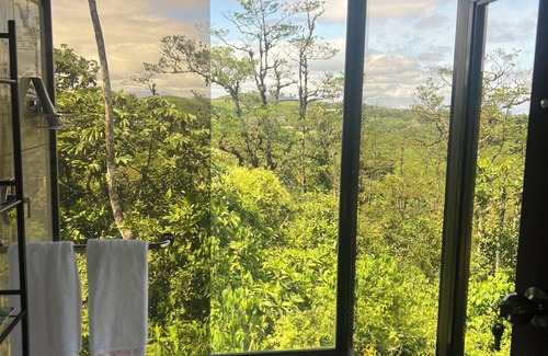 San Ramon Cabin | Relaxing cabin surrounded by an abundance of nature/Un lugar de paz y privacidad