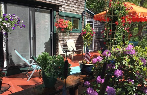 Wellfleet House | Relaxing clean cozy spacious artsy S. Wellfleet home delightful inside and out