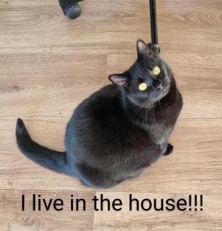 Giske House | Relaxing place on Godøya