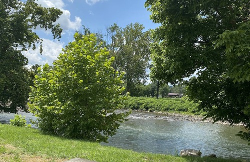Elizabethton Cabin | Relaxing waterfront studio on the Watuaga river!