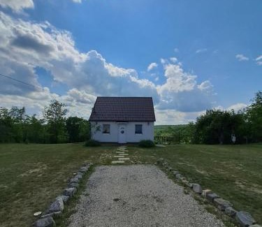 Szekszard Apartment | Remete Vendégház